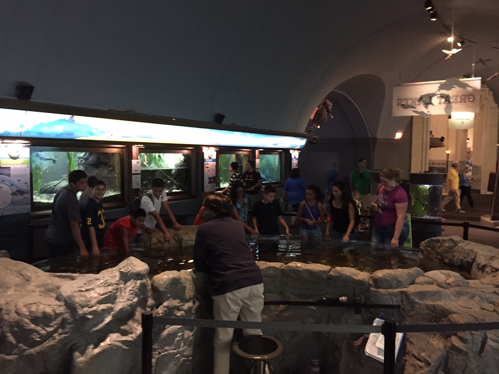 Campers at Namaste in Chicago on a field trip to the aquarium